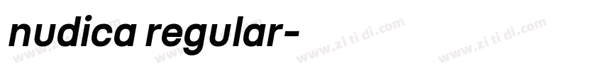 nudica regular字体转换